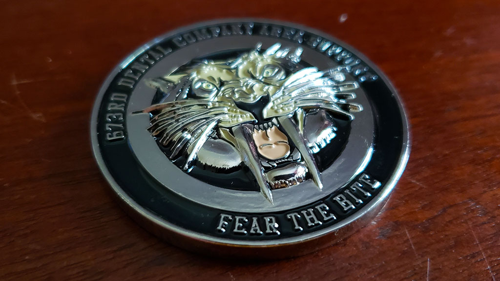 673rd Dental Company Area Support Coin